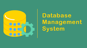 DBMS | Introduction